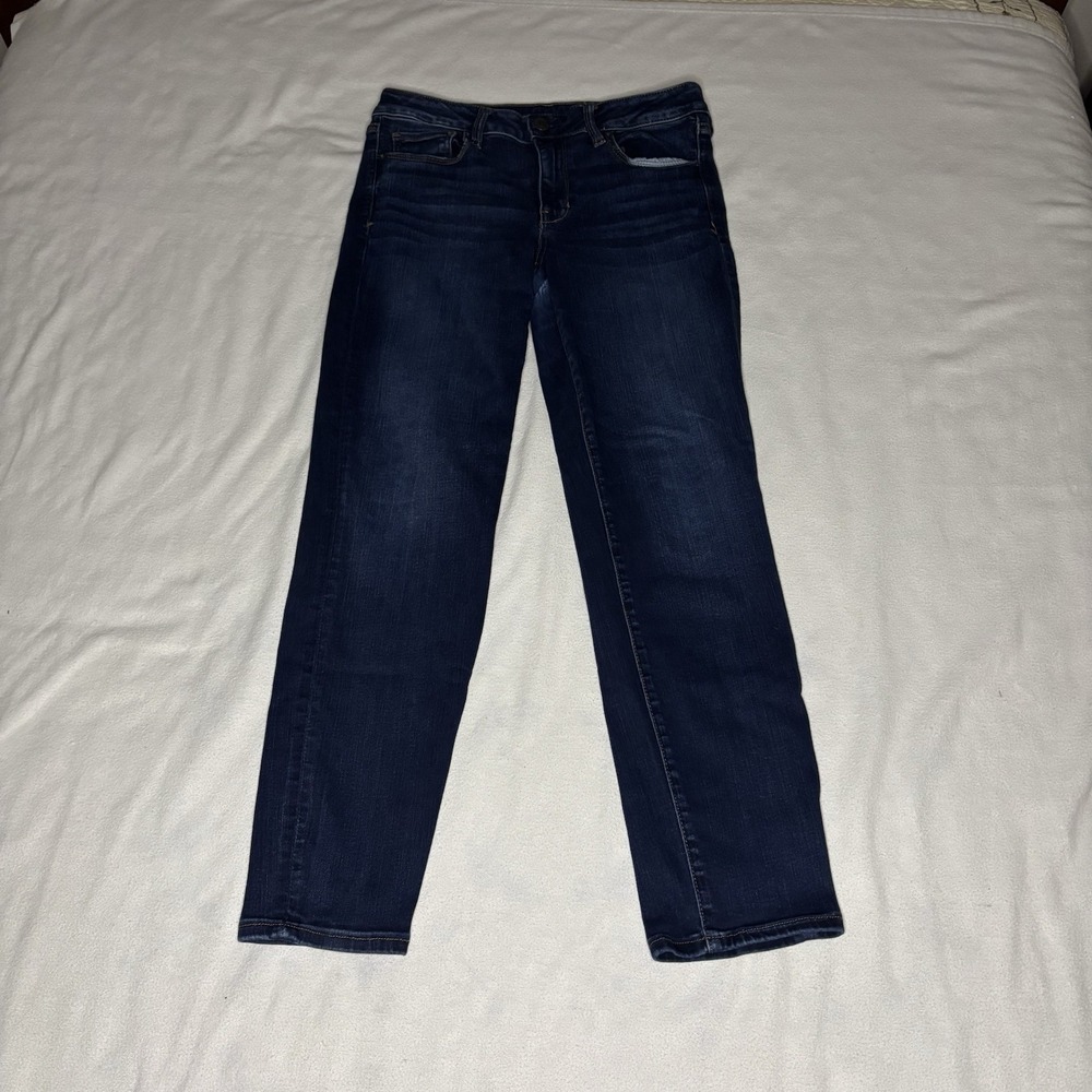 American Eagle Outfitters Dark Blue Skinny Jeans